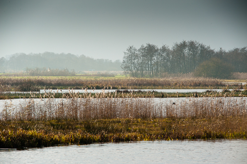 Loosdrechtse Plassen